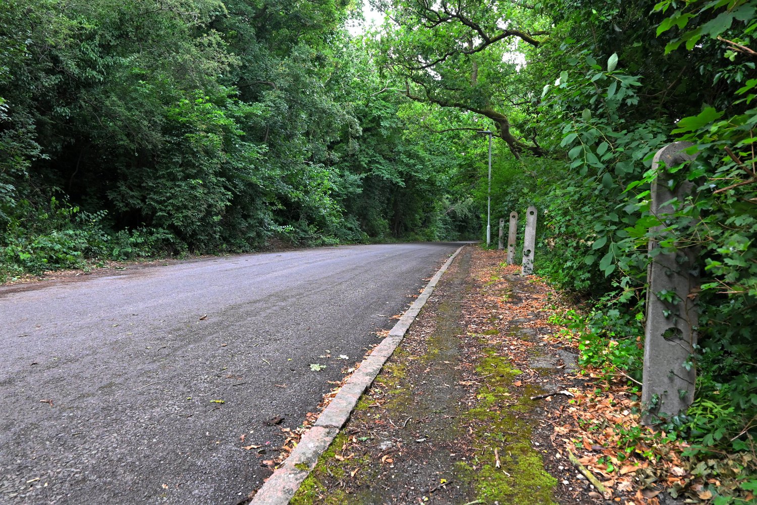 Photograph of the old Hertingfordbury Road