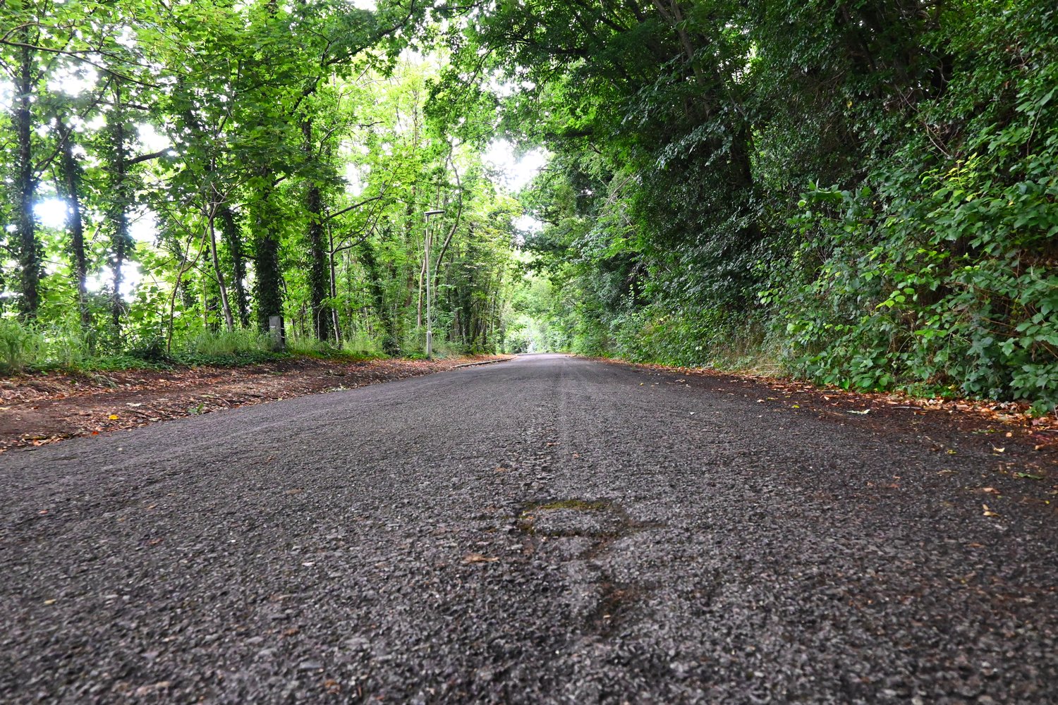 Photograph of the old Hertingfordbury Road